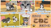 ねこ育成ゲーム - 子猫をのんびり育てる癒しの猫育成ゲーム screenshot 1
