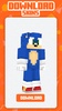 Sonic Skin For Minecraft screenshot 1