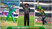 Pakistan Cricket League screenshot 4