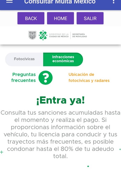Consultar Multa Mexico - Preview 1