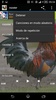 Rooster sounds screenshot 2