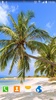 Tropical Paradise Wallpaper screenshot 8