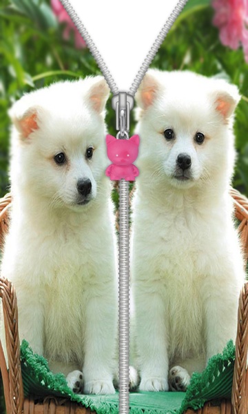 Cute Puppy Zip Screen Lock - Preview 5