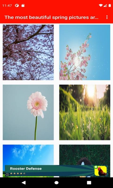 The most beautiful spring pictures around the world 4K - Preview 7