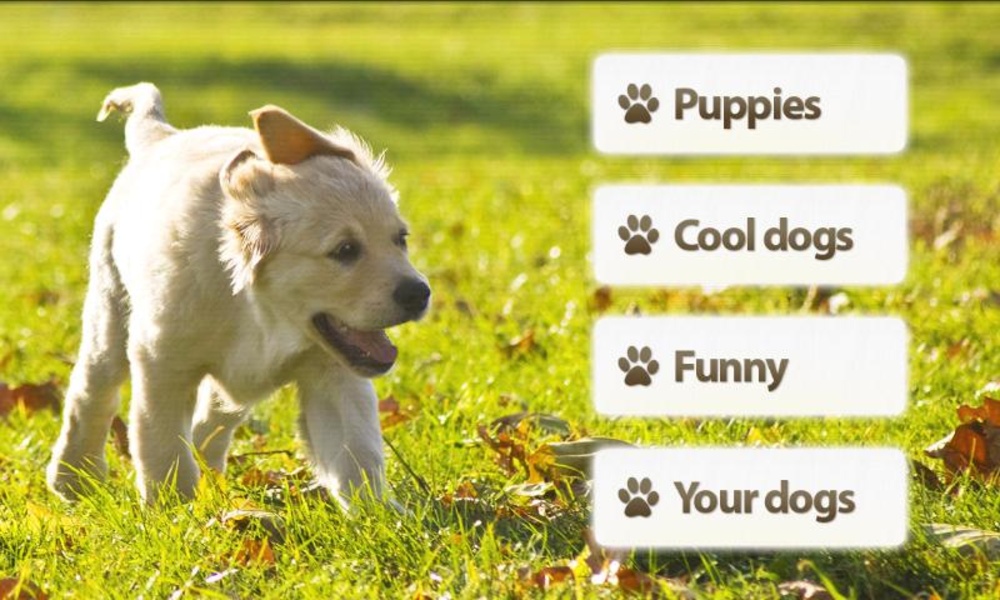 Dogs Memory Free - Preview 5
