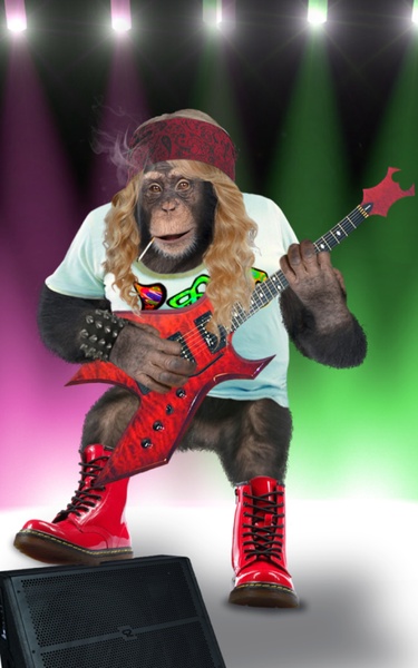 Angry Talking Monkey - Preview 3