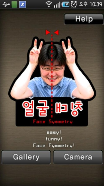 Face symmetry - Preview 2