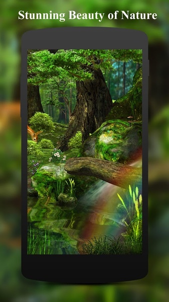Dawn Forest 3D - Preview 7