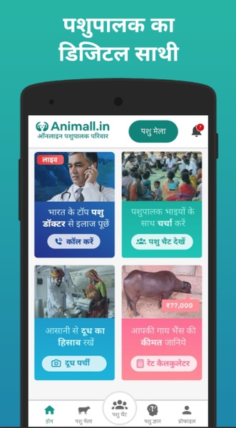Animall - Preview 3