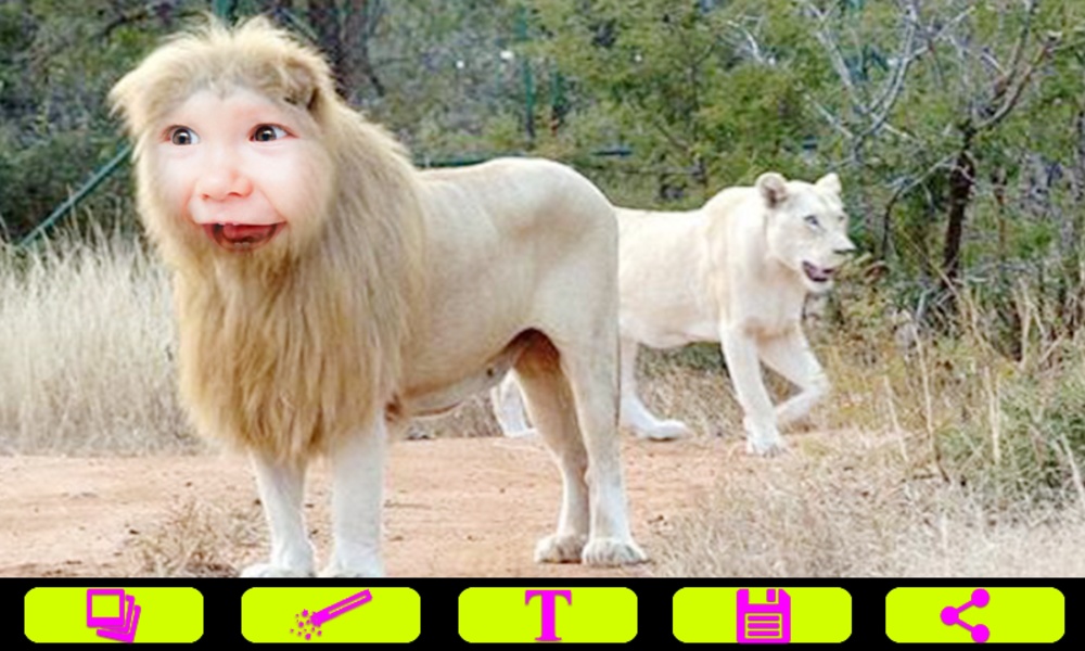 Lion Photo Frames - Preview 6