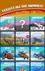 Happy Safari - the zoo game screenshot 5