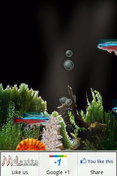 Neon Fish - Preview 1