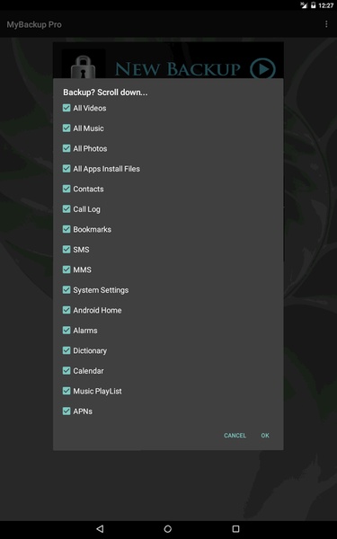 My Backup - Preview 17