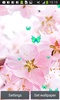 Sakura Live Wallpapers screenshot 3