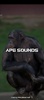 Ape sounds screenshot 2