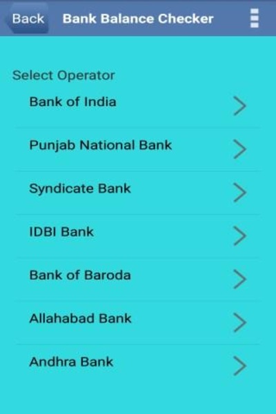 Bank Balance Check Number - Preview 1