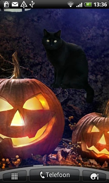 BlackCatSticker - Preview 4