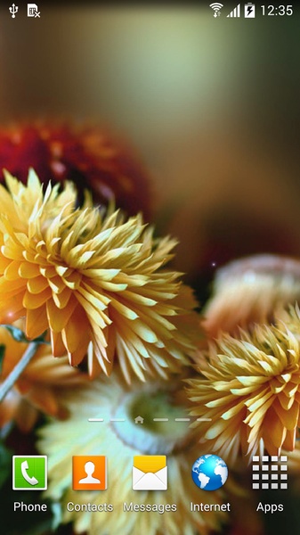 Autumn Flowers Live Wallpaper - Preview 8