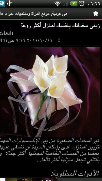 hiaarabia Arabic Women - Preview 1
