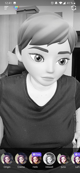 Face Cam - Preview 6