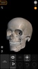 Skeleton 3D Anatomy screenshot 1