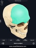 Skull Anatomy Pro. screenshot 5
