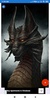 Dragon Wallpaper: HD images, Free Pics download screenshot 5