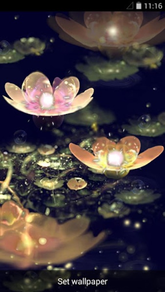 Water Lotus Lantern - Preview 5