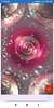 Glitter Wallpapers: HD images, Free Pics download screenshot 5