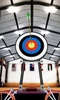 World Championship Archery-Arrow Shooting Game screenshot 2