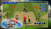 Cricket Play 3D: Live The Game screenshot 4