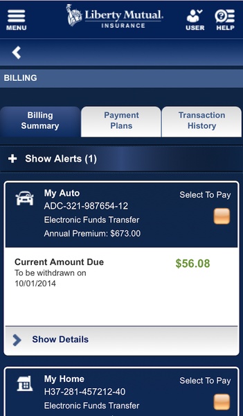 Liberty Mutual - Preview 8