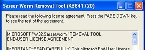 Microsoft Sasser Worm Removal screenshot 1