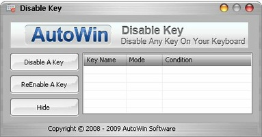 Disable Key screenshot 1