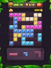 Block Puzzle Level screenshot 1