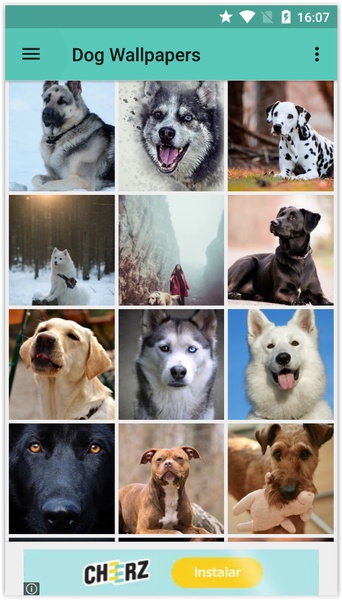 Dog Wallpapers (HD) - Preview 2