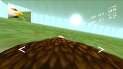 Eagle Ride screenshot 8