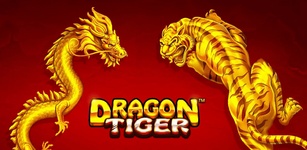 Daman Dragon Tiger फीचर्ड इमेज