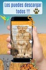 Sonidos de Animales. Ringtones screenshot 13