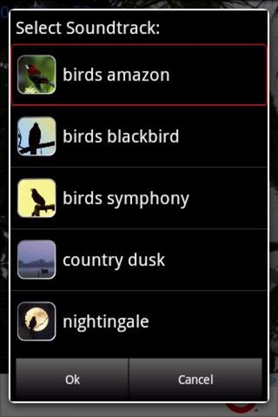bird sleep sounds - Preview 3