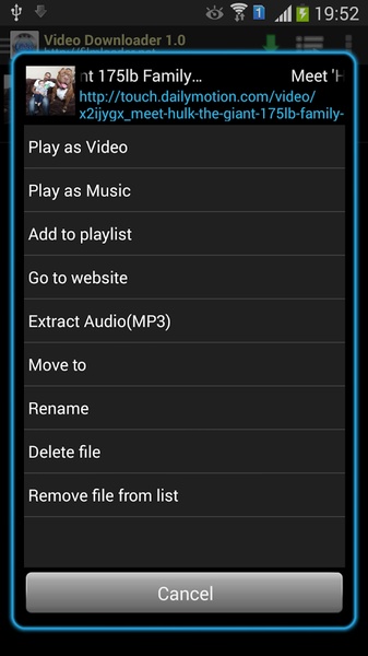 VideoDownloader - Preview 2
