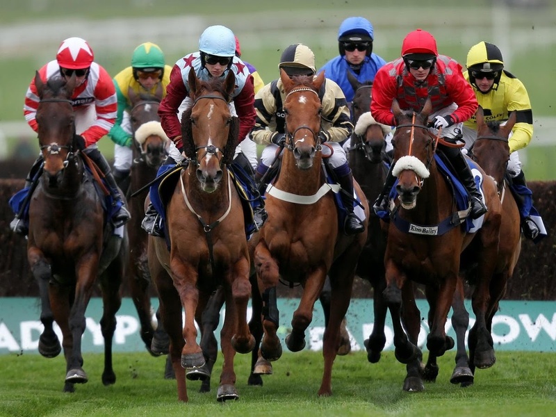 HorseRacing Jigsaw - Preview 1