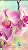 Orchids Live Wallpaper screenshot 9