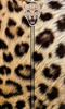 CheetahZipperUnLock screenshot 5