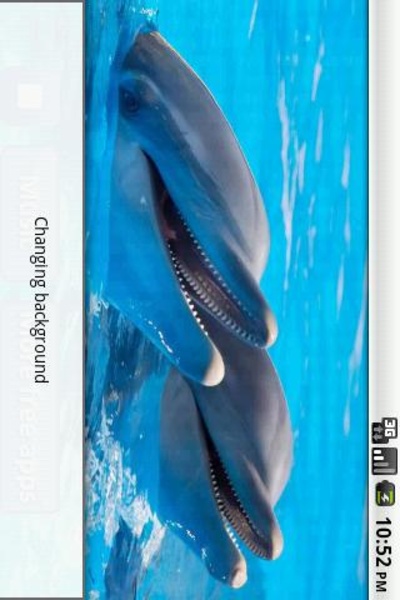 Dolphins songs to sleep - Preview 1