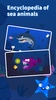 Sea Animals：DuDu Puzzle Games screenshot 1