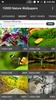 10000 Nature Wallpapers screenshot 4