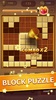 Wood Block Puzzle screenshot 25