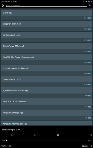 Advanced Music Player - Preview 4