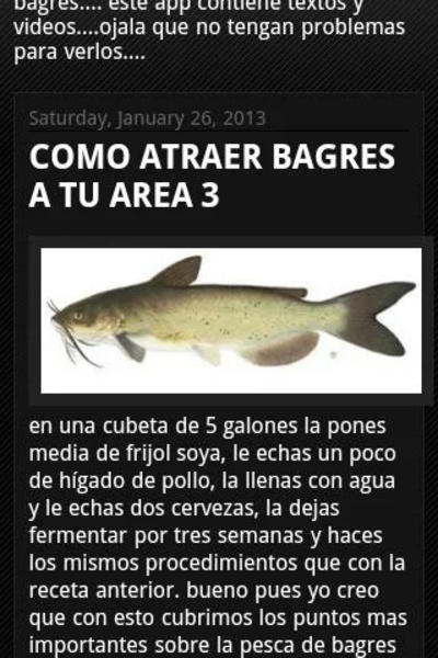 PESCA DE BAGRES - Preview 3